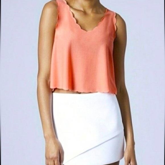 Top Shop • Scallop Crop Top size 4 - Picture 1 of 8